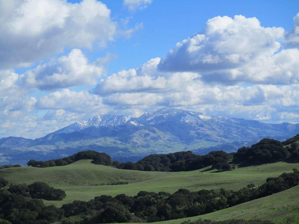 Briones Regional Park | 5363 Alhambra Valley Rd, Martinez, CA 94553 | Phone: (888) 327-2757