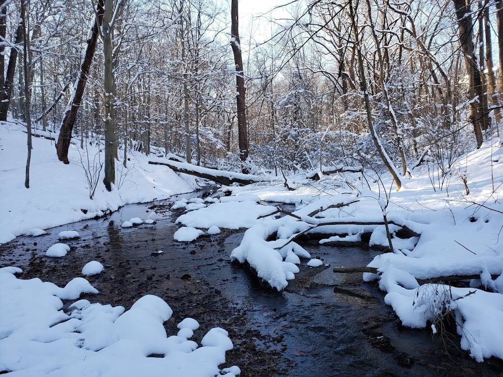 Melvin C Hazen Park | Washington, DC 20008, USA | Phone: (202) 895-6000