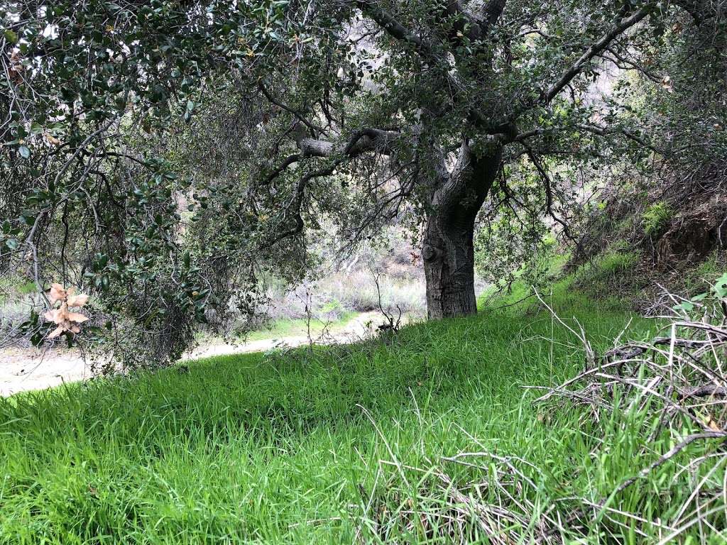 Brand Library Hiking Trail | Glendale, CA 91207, USA