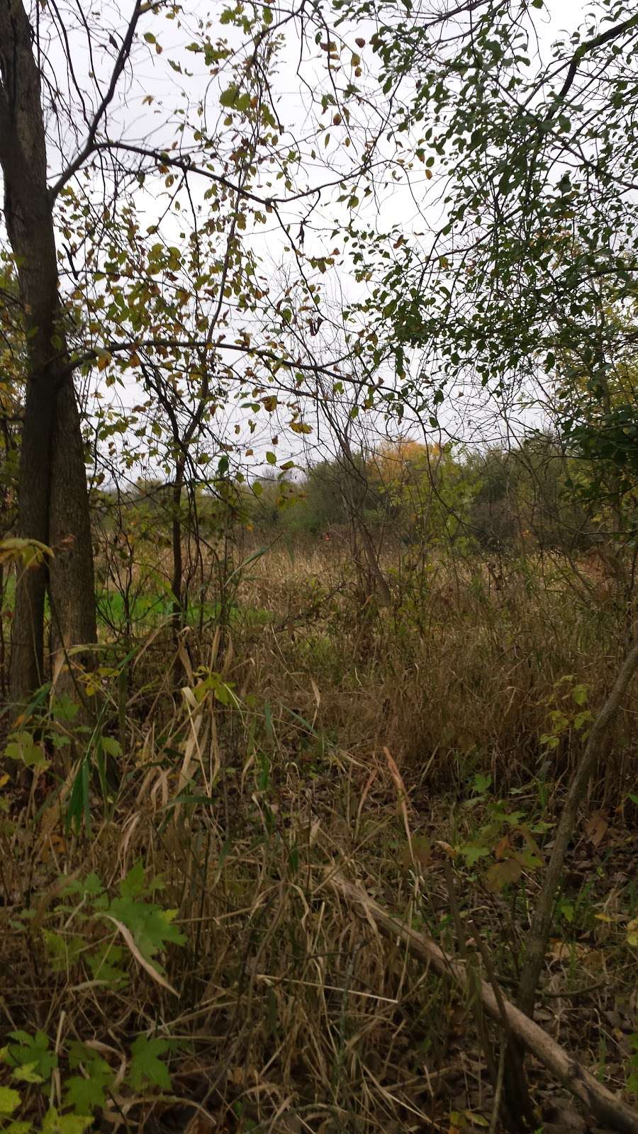 Grant Creek Prairie Nature Preserve | Wilmington, IL 60481, USA