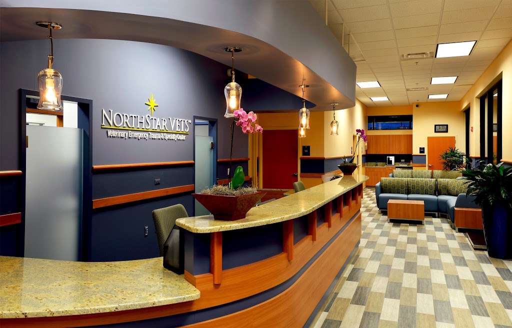 NorthStar VETS | 2834 NJ-73, Maple Shade Township, NJ 08052, USA | Phone: (609) 259-8300