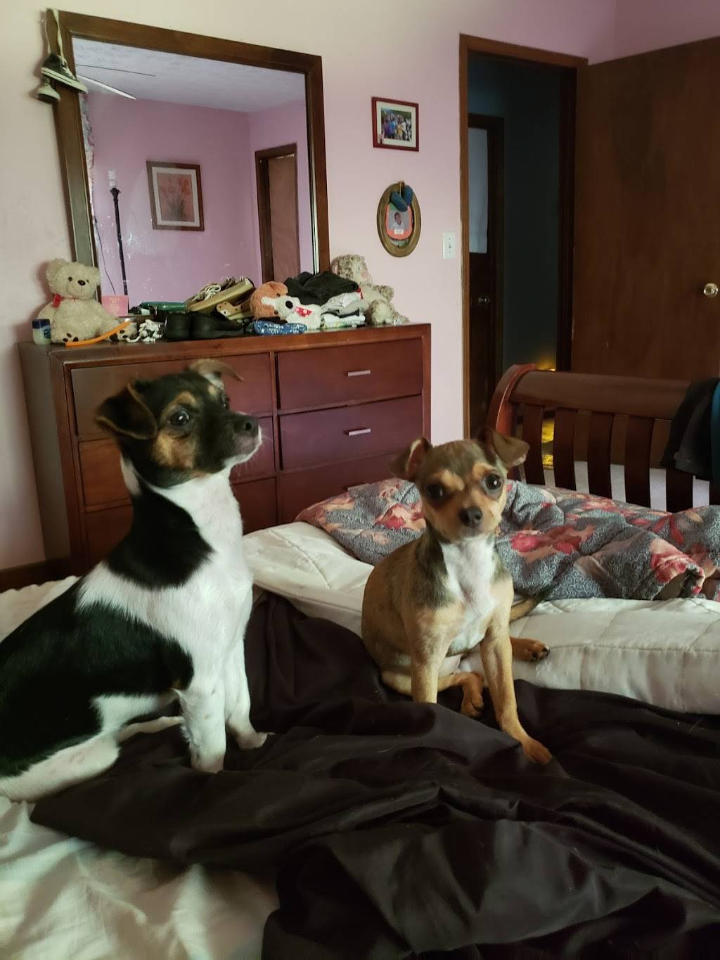 Churchs Chicken | 629 Cascade Ave SW, Atlanta, GA 30310, USA | Phone: (404) 752-7878