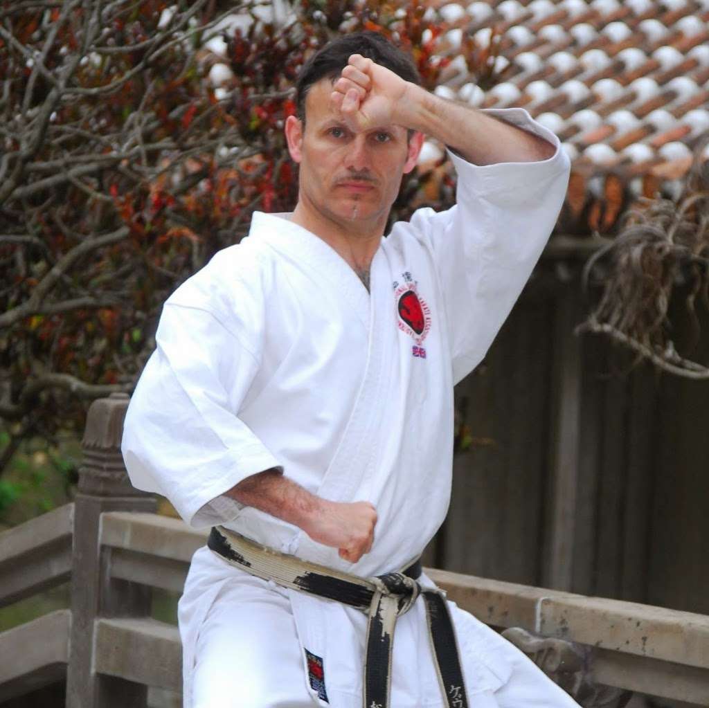 Tiska Karate | The Dame Alice Owens Secondary School, Dugdale Hill Ln, Potters Bar EN6 2DU, UK | Phone: 01707 322482