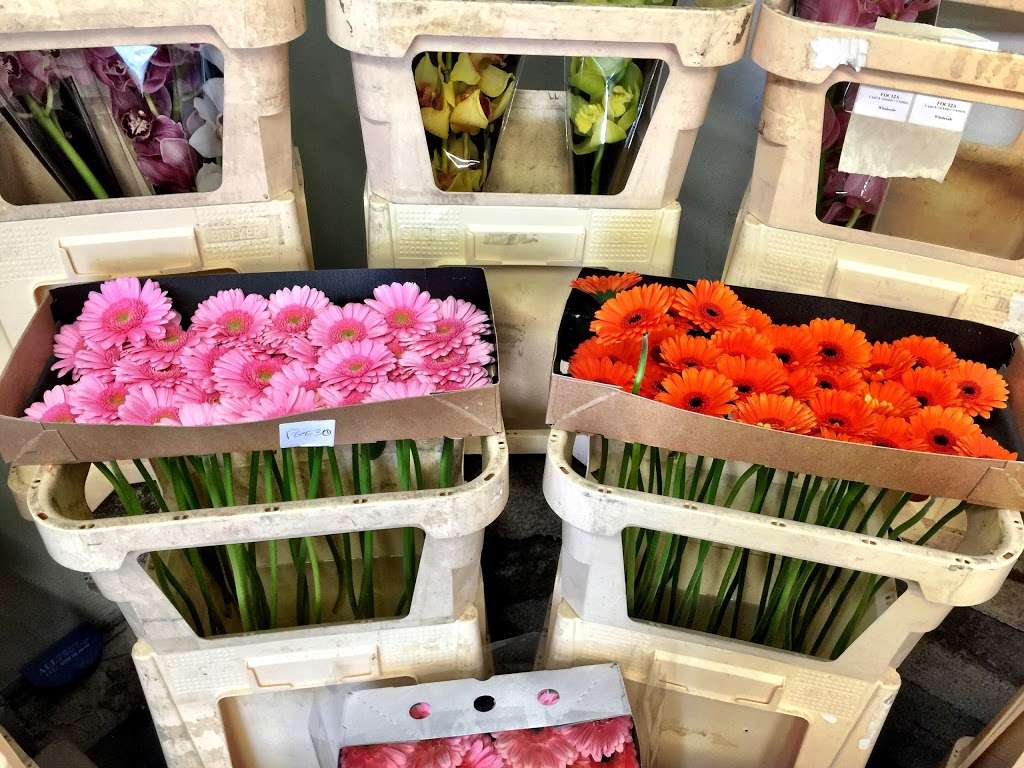 Flowers For Florists | Eastbourne Rd, South Godstone, Godstone RH9 8JB, UK | Phone: 01342 892743