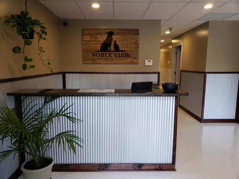 Noble View Veterinary Clinic | 1002 Lexington Rd Suite 16, Georgetown, KY 40324, USA | Phone: (502) 642-4147