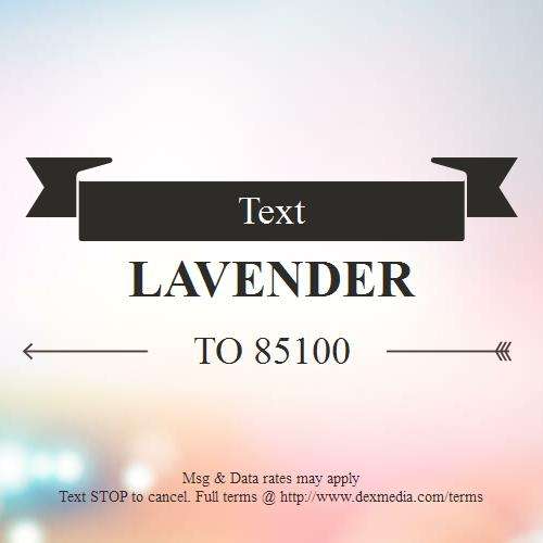 Lavender Massage Spa | 1529 E Interstate 30 #101, Garland, TX 75043, USA | Phone: (469) 814-9282