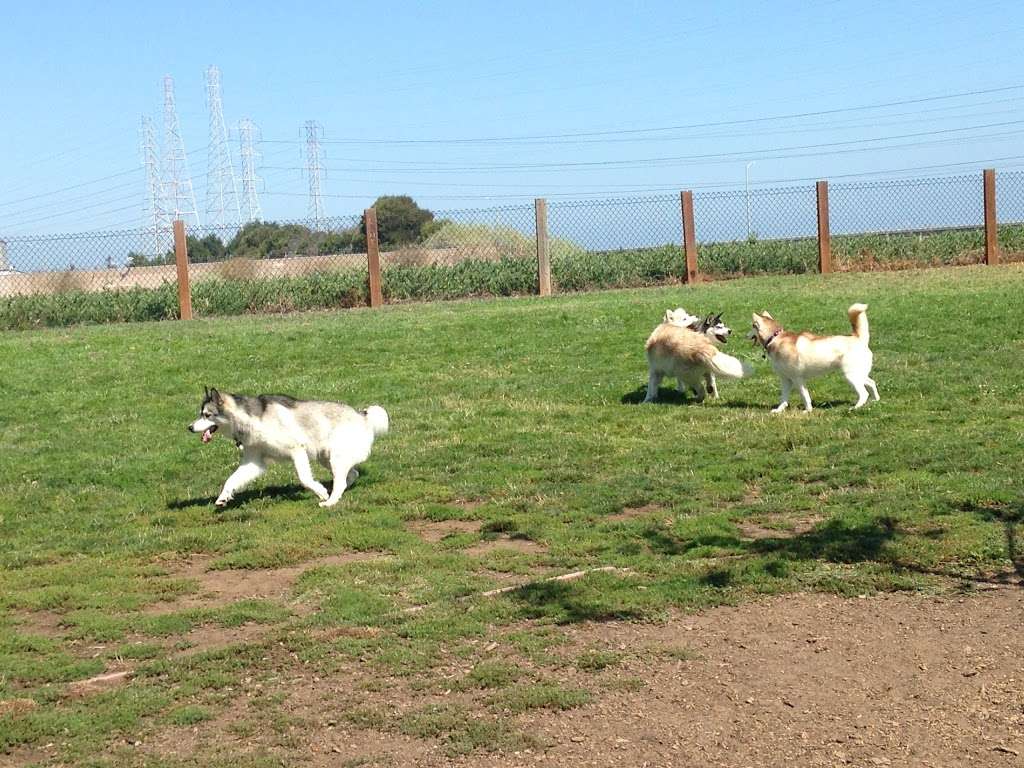 John Lee Dog Park | 2045 Detroit Dr, San Mateo, CA 94404, USA