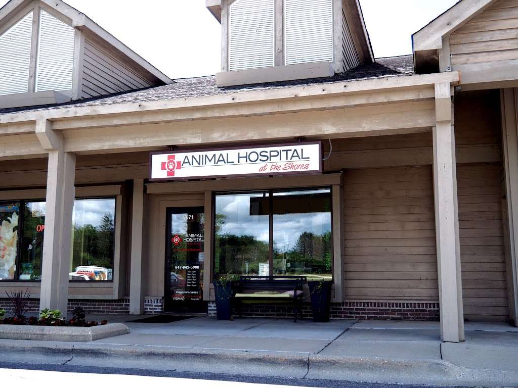 Animal Hospital At The Shores | 5071 Shoreline Rd, Lake Barrington, IL 60010, USA | Phone: (847) 842-5000