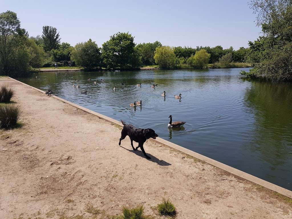 Ingrebourne Valley Visitor Centre | Hornchurch Country, Hornchurch Road, Upminster, Hornchurch RM12 6DF, UK | Phone: 01708 520364