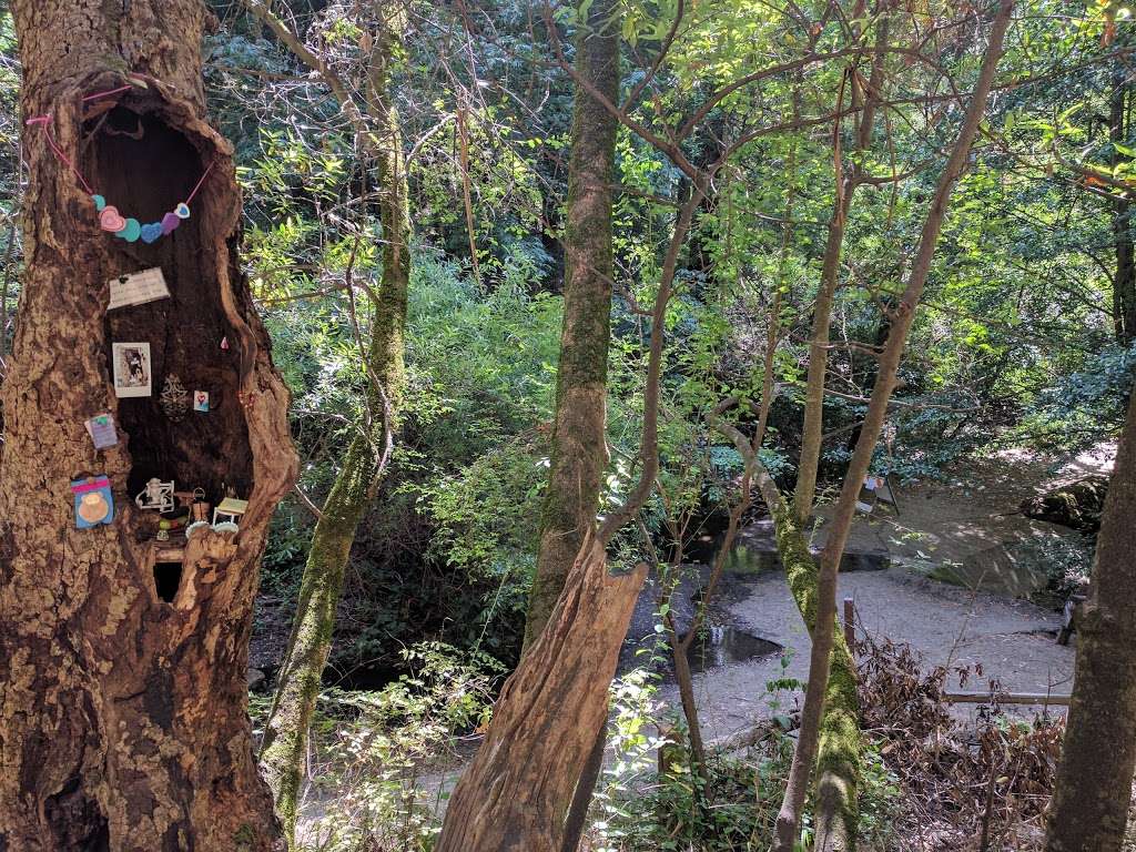 Fairy Post office | Curran Trail, Berkeley, CA 94708