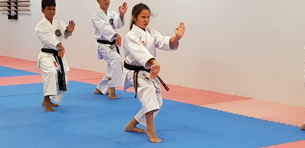 West Orange Karate | 632 S Dillard St, Winter Garden, FL 34787, USA | Phone: (407) 915-2576