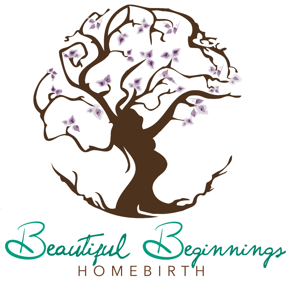 Beautiful Beginnings Homebirth | 1139 Marfield Dr, Nazareth, PA 18064, USA | Phone: (610) 762-6368