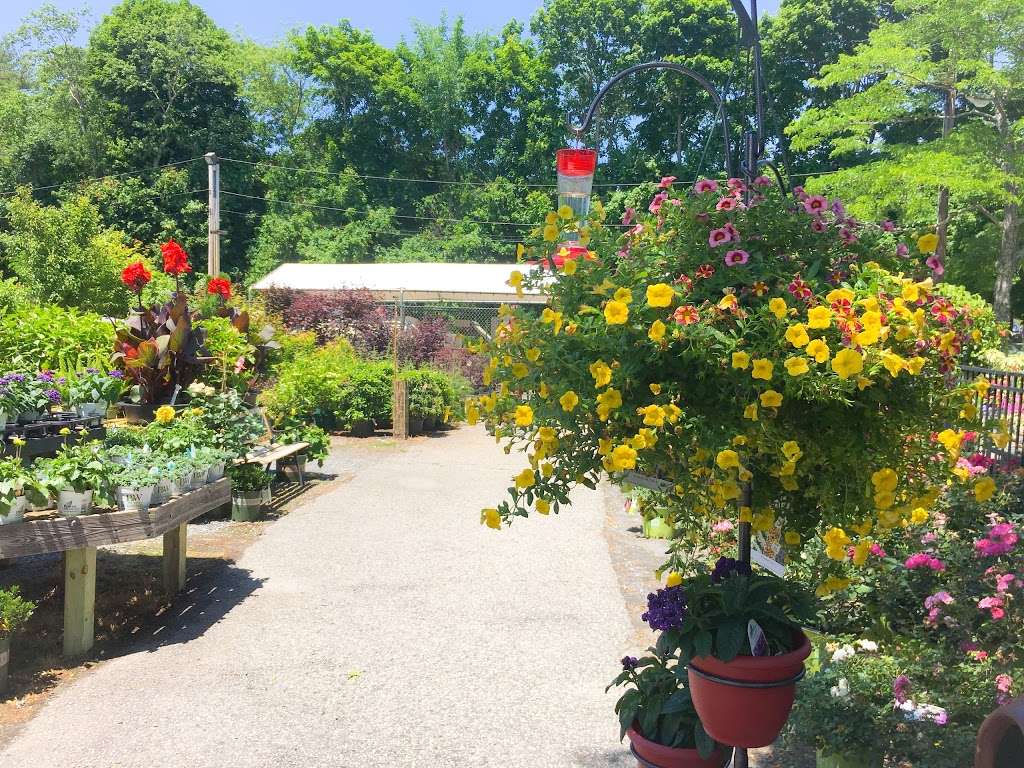 Wymans Garden Center | 1025, 141 Spring St, Hanson, MA 02341, USA | Phone: (781) 447-5400