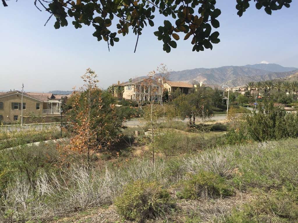 Olive Hill Park | 1238 Macneil Dr, Azusa, CA 91702, USA
