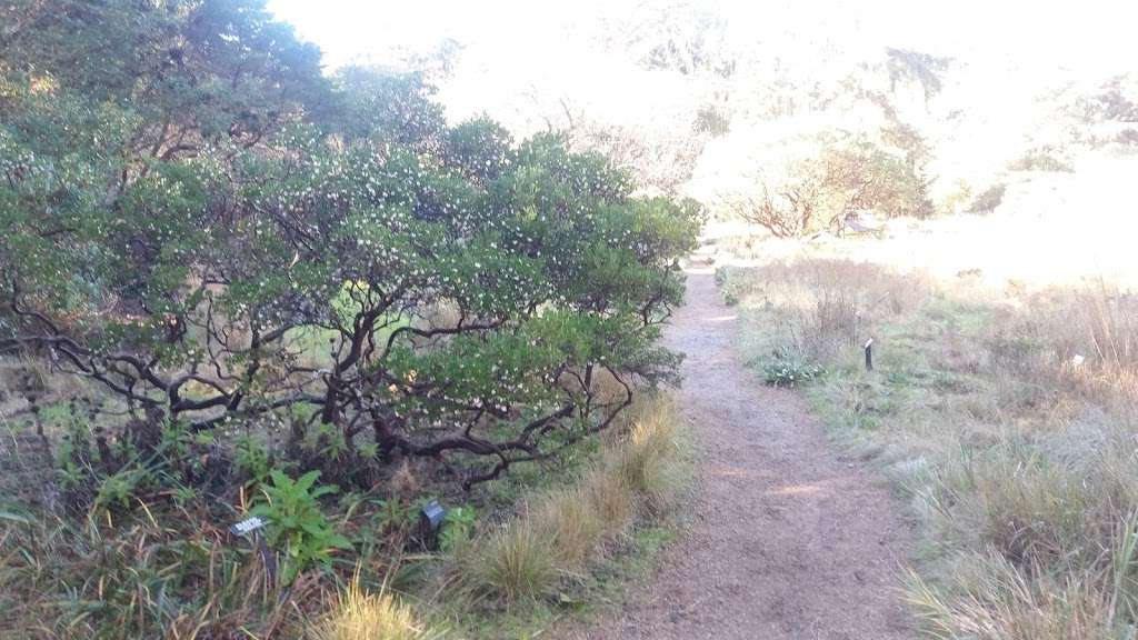 California Native Garden | San Franciscio Botanical Garden, San Francisco, CA 94122, USA | Phone: (415) 661-1316