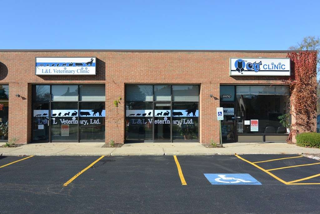 The Cat Clinic | 19850 Kedzie Ave, Flossmoor, IL 60422, USA | Phone: (708) 206-2287