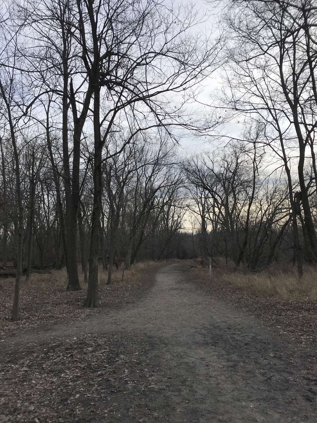 Des Plaines River Trail at Jerome Huppert Woods | Des Plaines River Trail, River Grove, IL 60171