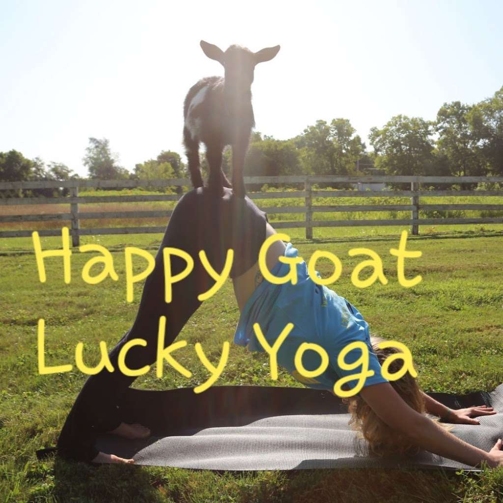 Happy Goat Lucky Yoga | 1212 Westfield Rd, Noblesville, IN 46062, USA | Phone: (317) 584-0135
