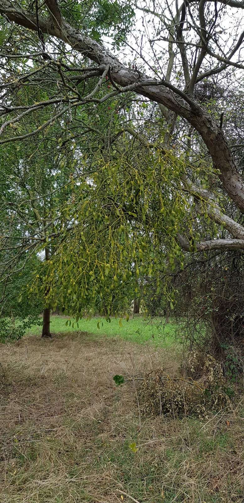 Corn Hill Meadow | Waltham Abbey EN9 2ER, UK