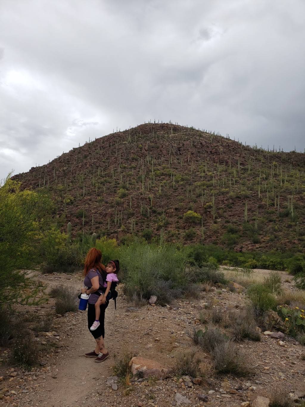 Camino de Oeste Trailhead | 415 N Camino De Oeste, Tucson, AZ 85745, USA | Phone: (520) 877-6000