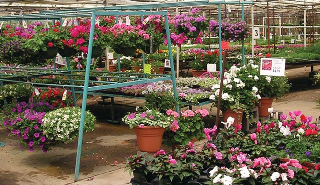 Front Range Gardens | 10195 Wadsworth Blvd, Broomfield, CO 80021, USA | Phone: (303) 469-3369