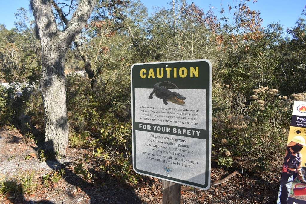 Allen David Broussard Catfish Creek Preserve State Park | 4335 Firetower Rd, Haines City, FL 33844, USA | Phone: (863) 696-1112