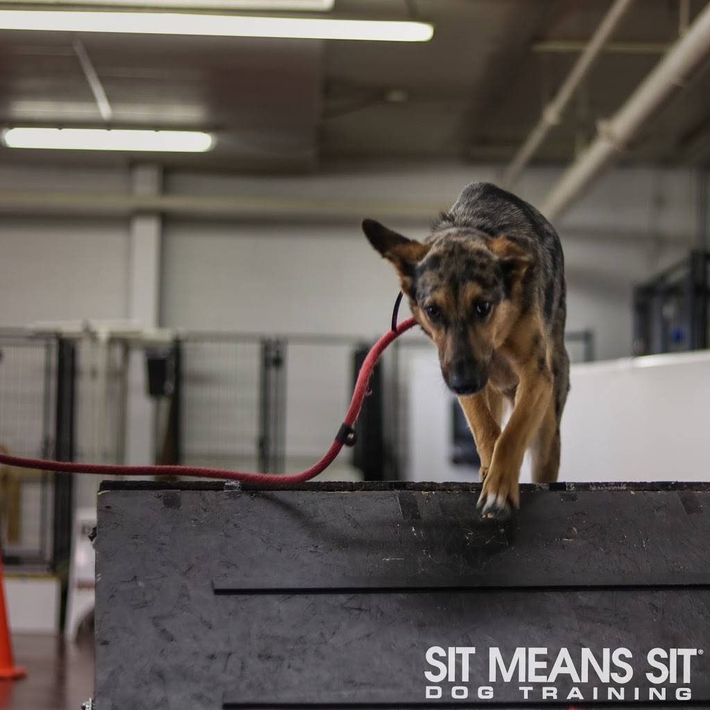 Sit Means Sit Dog Training Minneapolis | 8485 Plaza Blvd NE, Spring Lake Park, MN 55432, USA | Phone: (763) 913-8546