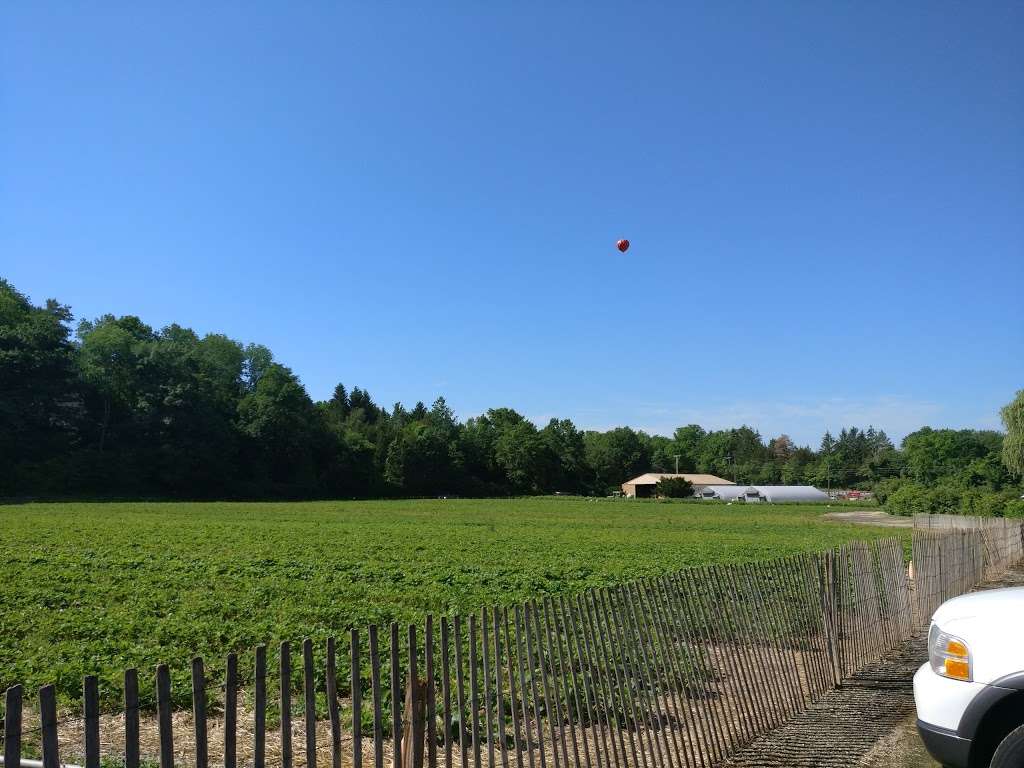 Farm strawberries pickup | 519 US-206, Newton, NJ 07860, USA