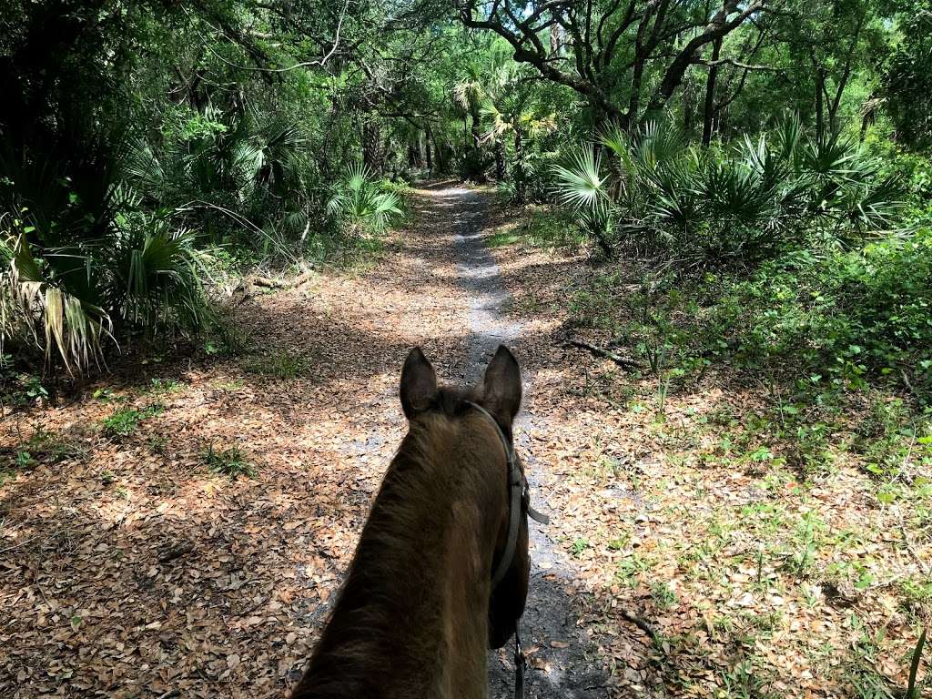 Horseback Trail Rides | 1020 Camp Rd, Cocoa, FL 32927 | Phone: (321) 632-7085