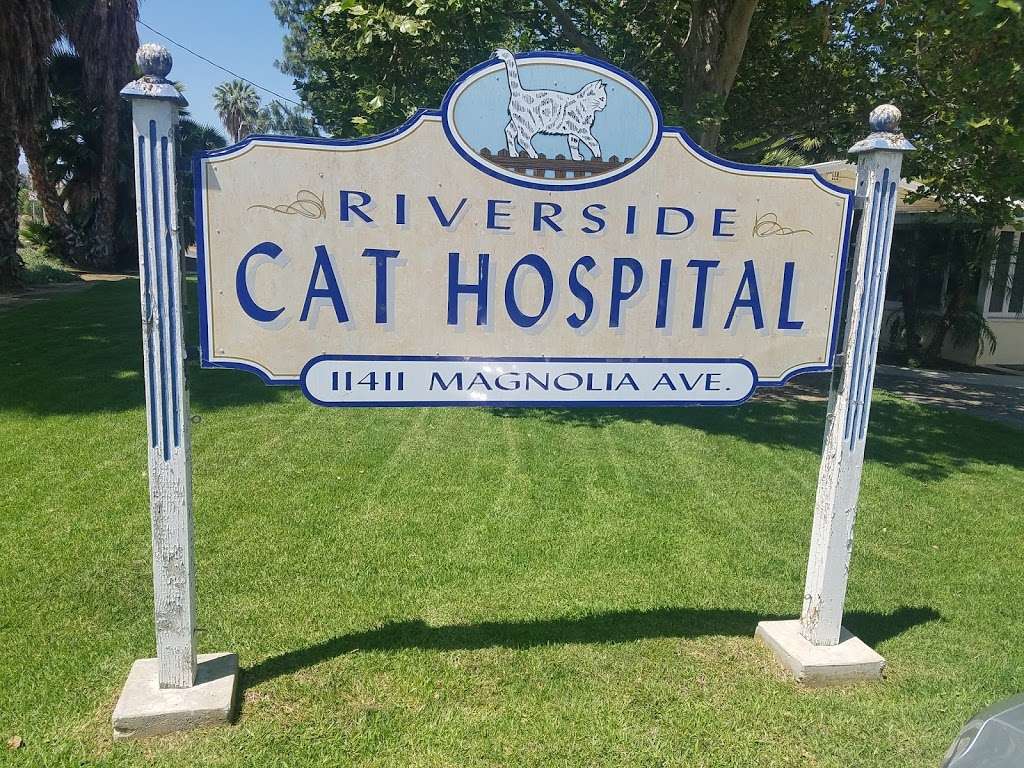 Riverside Cat Hospital | 11411 Magnolia Ave, Riverside, CA 92505, USA | Phone: (951) 785-5287