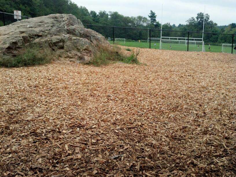 Dog Park at Dacey Community Field | Lincoln Street, Franklin, MA 02038