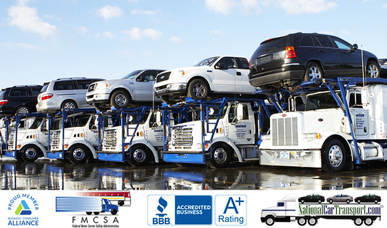 National Car Transport | 1800 N.W 135 Avenue Bay#106, Miami, FL 33182, USA | Phone: (305) 884-2253