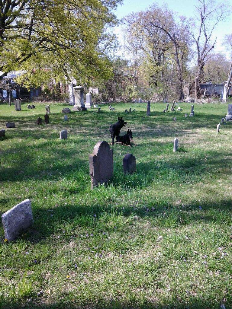 Old Town Cemetery | 215 Grand St, Newburgh, NY 12550, USA | Phone: (888) 501-7510