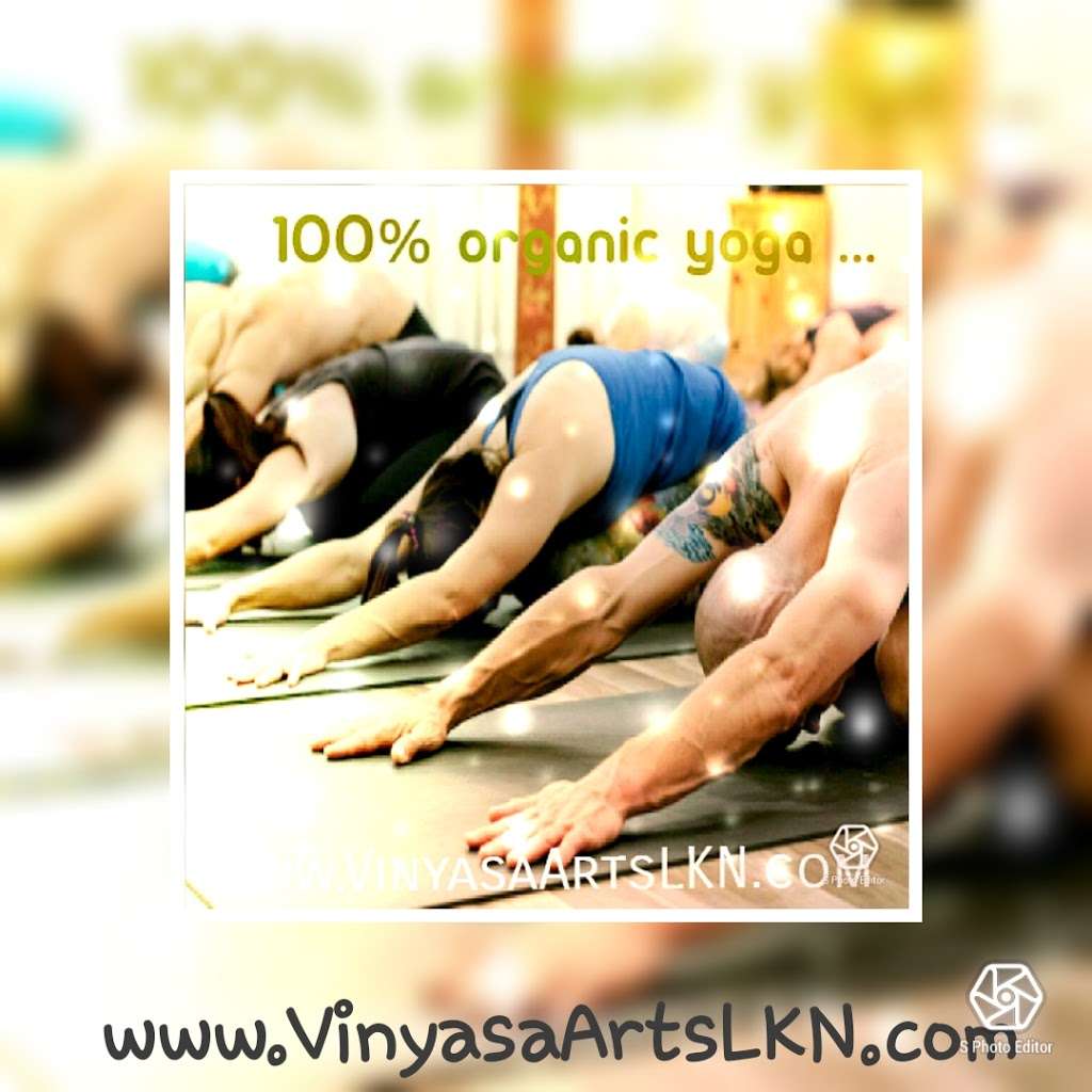 Vinyasa Arts LKN Yoga Studio | 138 Village View Dr #101, Mooresville, NC 28117, USA | Phone: (760) 707-7411