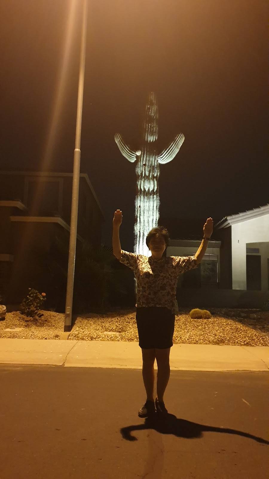 Cooper Greens Park | 1850 E Locust Pl, Chandler, AZ 85286, USA