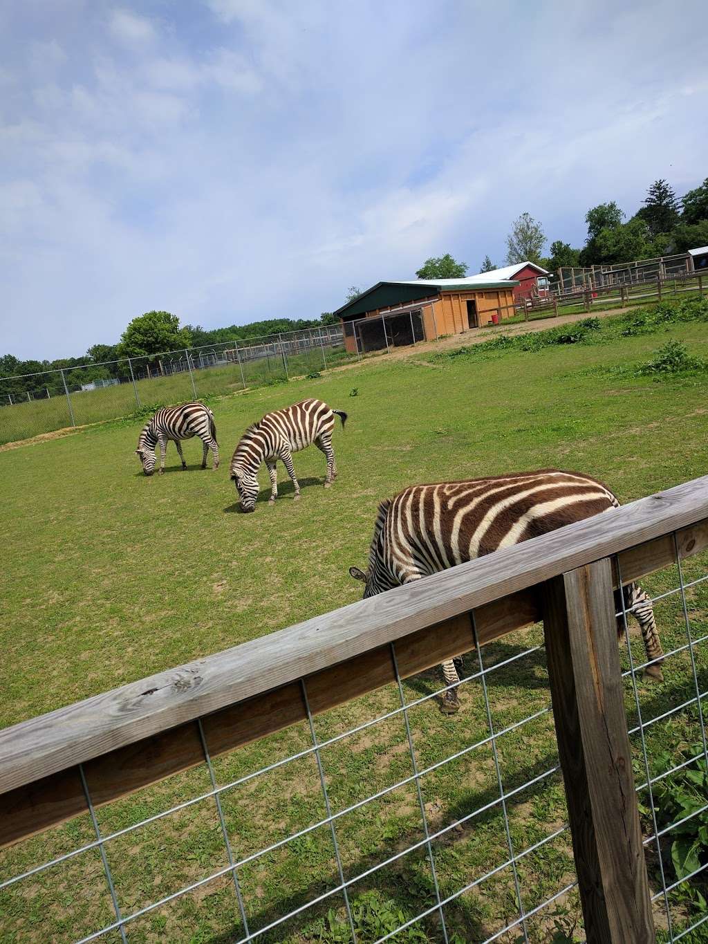 Plumpton Park Zoo | 1416 Telegraph Rd, Rising Sun, MD 21911, USA | Phone: (410) 658-6850