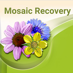 Mosaic Recovery | 2554 Madison Ave, Indianapolis, IN 46225, USA | Phone: (317) 788-6560
