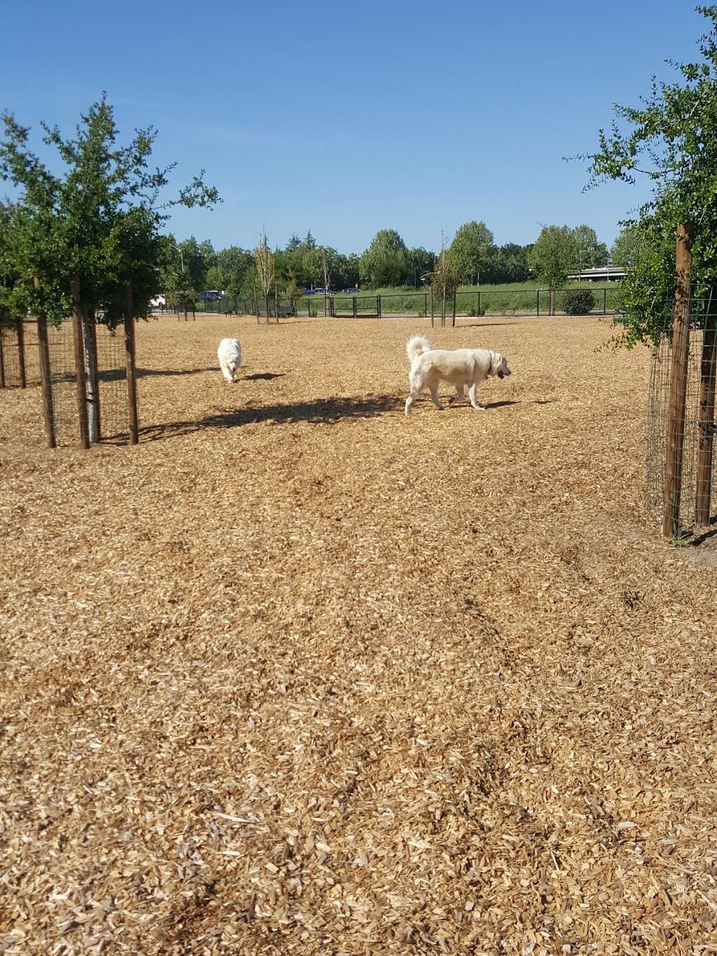 Cubbys Dog Park | 3200 W Lagoon Rd, Pleasanton, CA 94588, USA