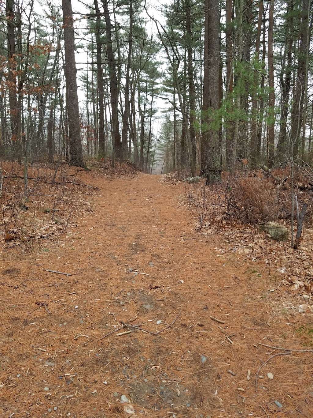 Plymouth River Nature trails | Hingham, MA 02043, USA