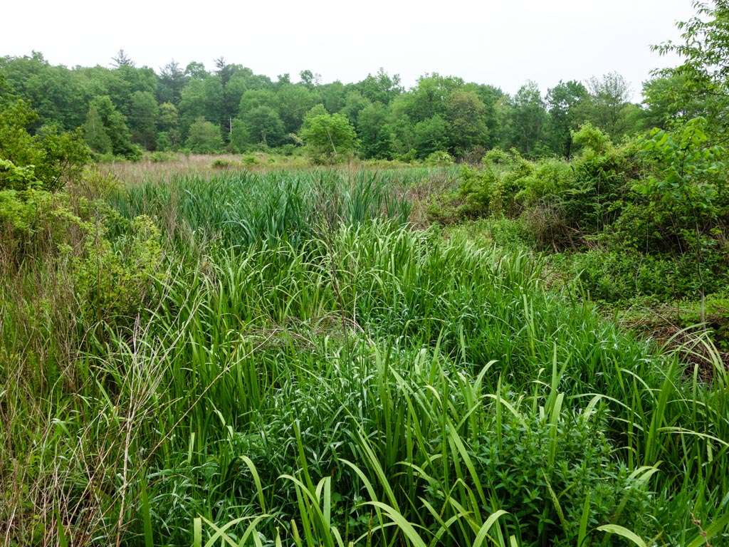 Appalachian Trail | Goldsmith Rd, Wantage, NY 07461, USA