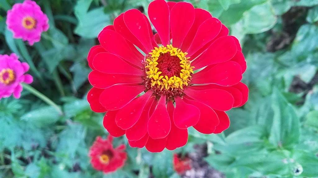 Montville Community Gardens | Montville, NJ 07045, USA
