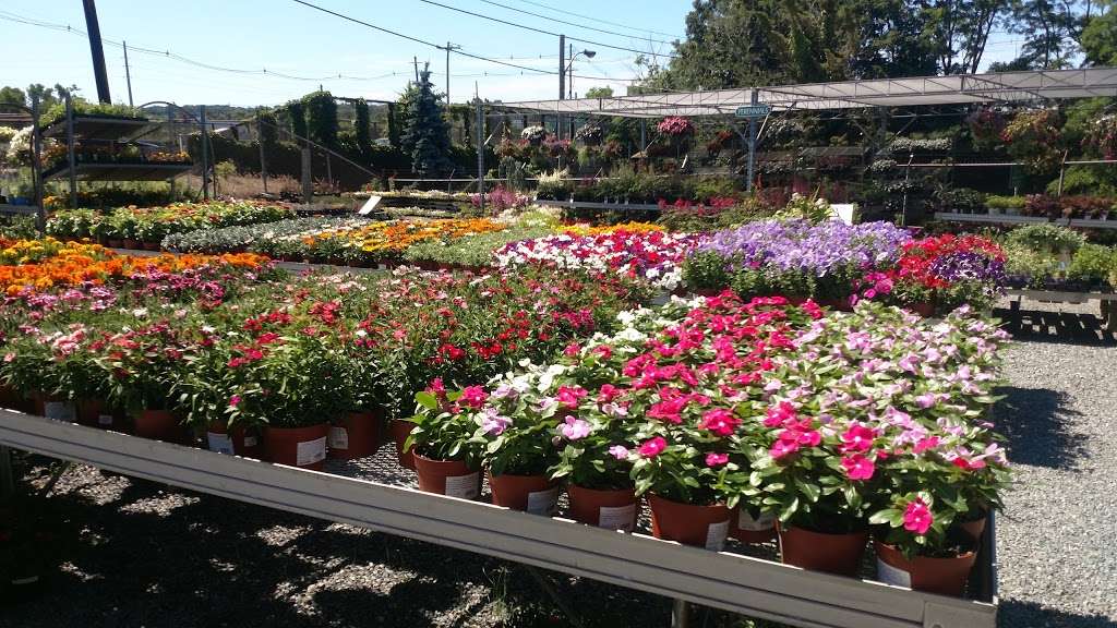 Northeast Nursery Garden Center | 234 Newbury St, Peabody, MA 01960, USA | Phone: (978) 535-6550