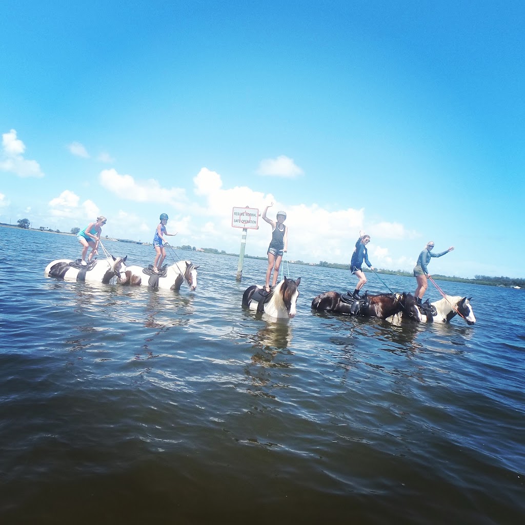 CPonies Beach Horseback Rides | St. Petersburg, FL 33715, USA | Phone: (941) 773-5196