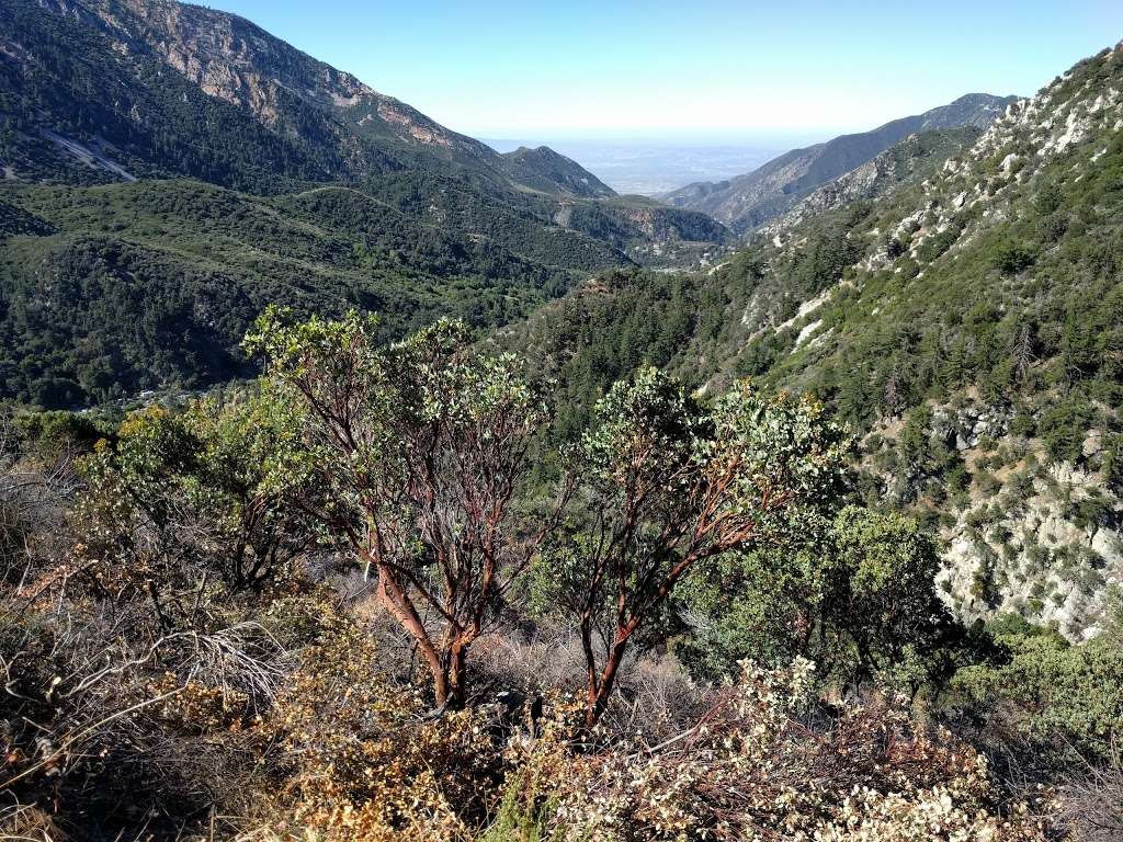 Bear Flat | Mt Baldy, CA 91759, USA