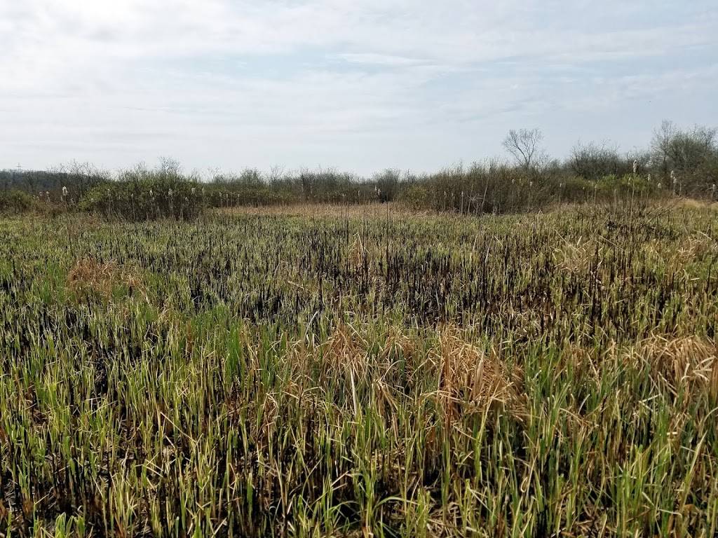 Waubesa Wetlands State Natural Area | Oregon, WI 53575 | Phone: (888) 936-7463