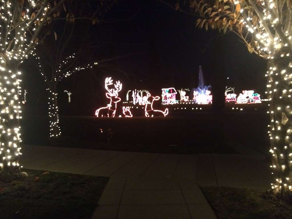 Circle of Lights in December | 5000 Piedmont Ave, Oakland, CA 94611 | Phone: (510) 658-2588