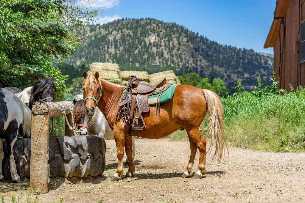 Cowpoke Corner Corral | 2166 CO-66, Estes Park, CO 80517, USA | Phone: (970) 586-5890