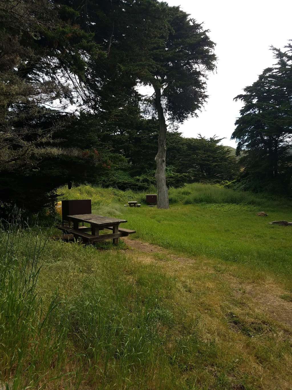 Bicentennial Campground | Conzelman Rd, Mill Valley, CA 94941 | Phone: (877) 444-6777