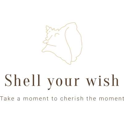 Shell Your Wish | 2682 Lahinch Dr, Aurora, IL 60503, USA | Phone: (917) 912-1447