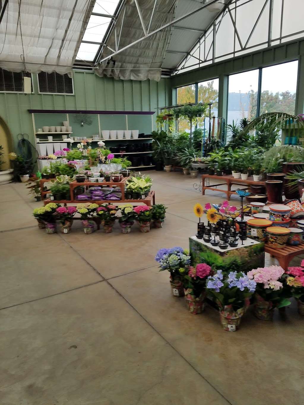 Sloat Garden Center | 2895 Contra Costa Blvd, Pleasant Hill, CA 94523, USA | Phone: (925) 939-9000